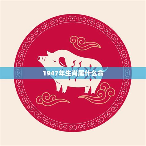 1947年生肖|1947年属什么生肖？详细解析1947年的属相及命运